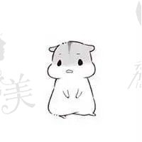 大文文