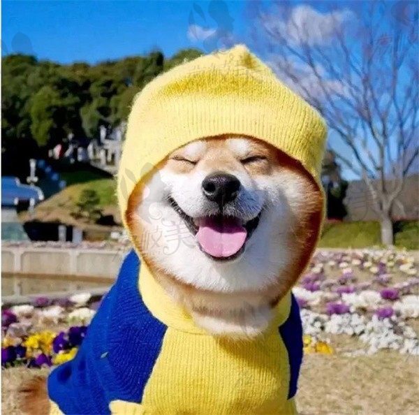 鹤壁V吉
