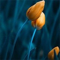 疙瘩汤