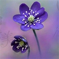 江湖不见