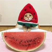 你不好看