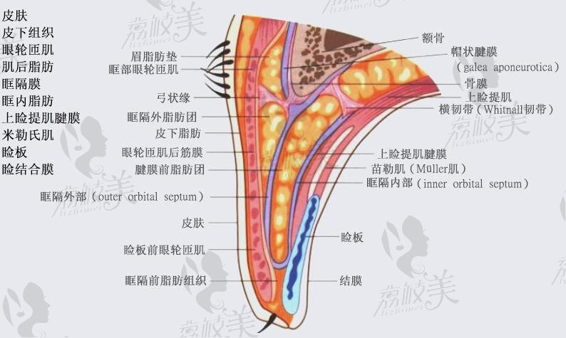2025高寿松双眼皮修复价格全解析：5500~20000元起，高性价比修复方案