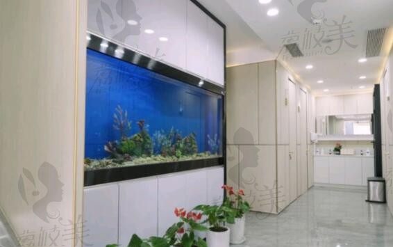 上海美信口腔走廊