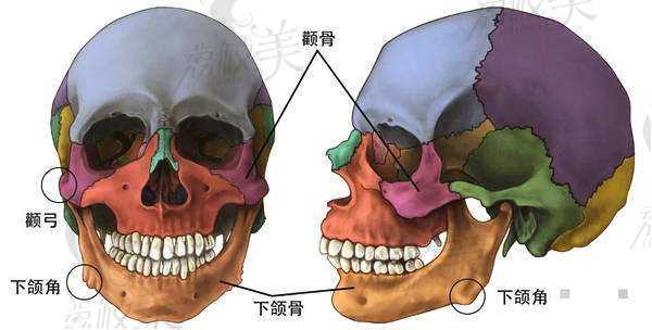 顴骨內(nèi)推