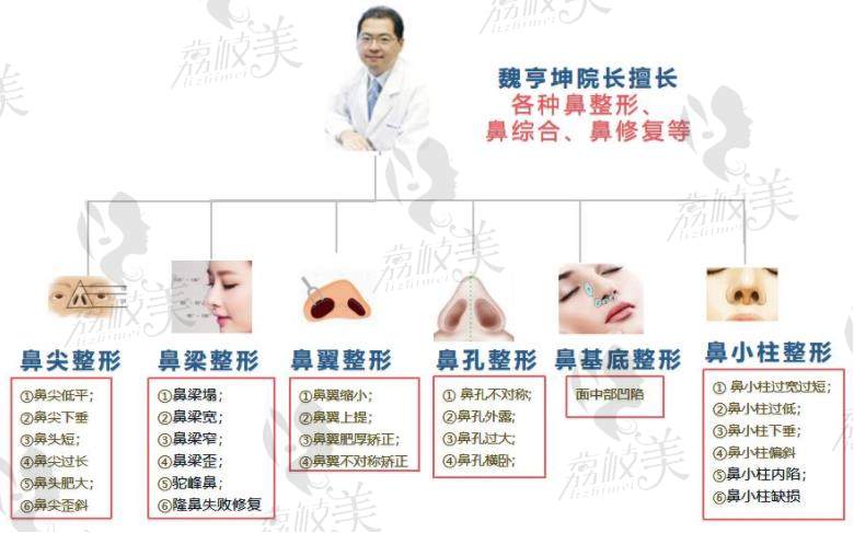 荔枝美：韩国will整形医院魏亨坤医生擅长项目