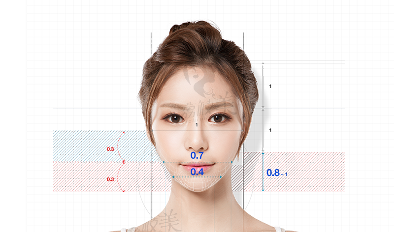 V-logic黄金比例数值如图