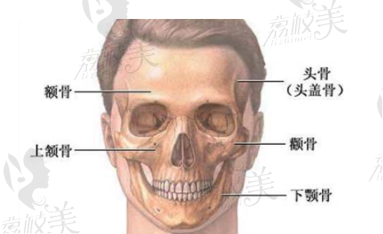 韩国美迪莹整形外科下颚手术截骨吗？