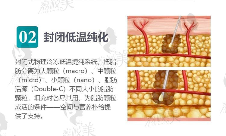 封闭低温纯化详解图