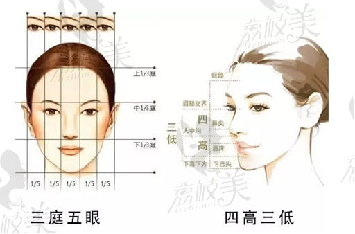 广州壹加壹蒙特鼻是根据东方女性独有的面部特征和东方美学标准“三庭五眼、四高三低”来设计的