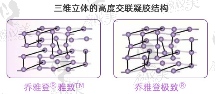 三维立体交联，提高塑形稳定性