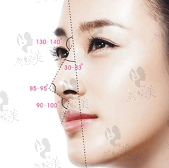 隆鼻美学图