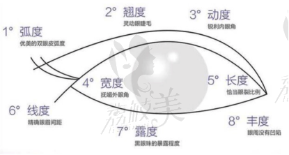 双眼皮翘睫术