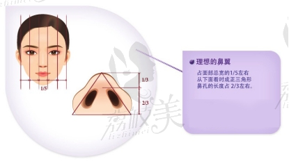 理想鼻翼宽度