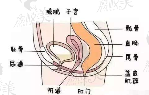 盆地肌构造