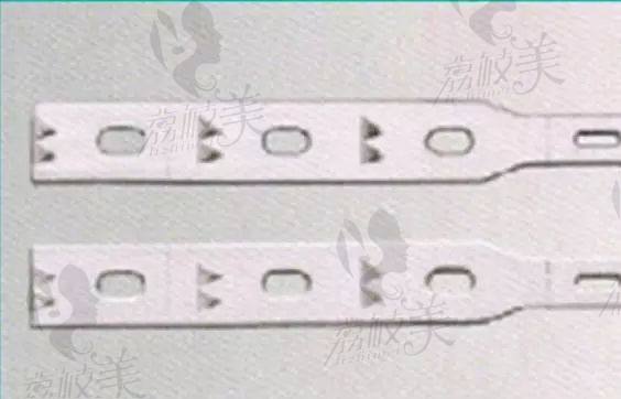 微拉美蛋白带图