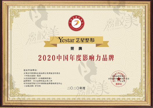 武汉艺星荣获2020年度影响力品牌