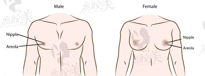 泰国伽蒙(kamol)整形MTF隆胸术