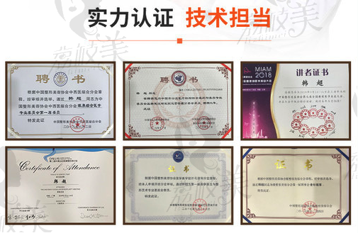 韩超博士荣誉证书
