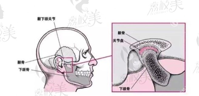 牙齿深覆颌