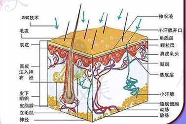 福州新世纪医疗超微小气泡美肤清洁去除黑头深层清洁