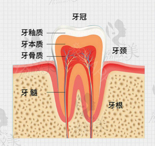 重庆乐乐欣口腔门诊口腔全科医生