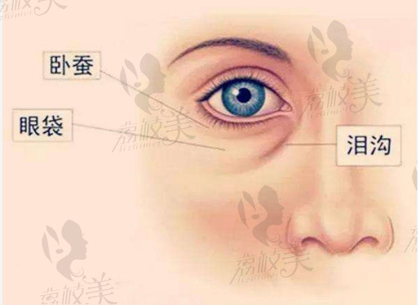 泪沟示意图