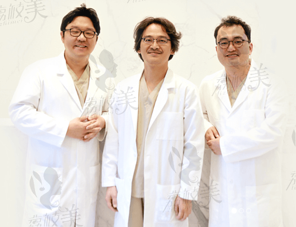韩国德嘉整形外科医院医生团队