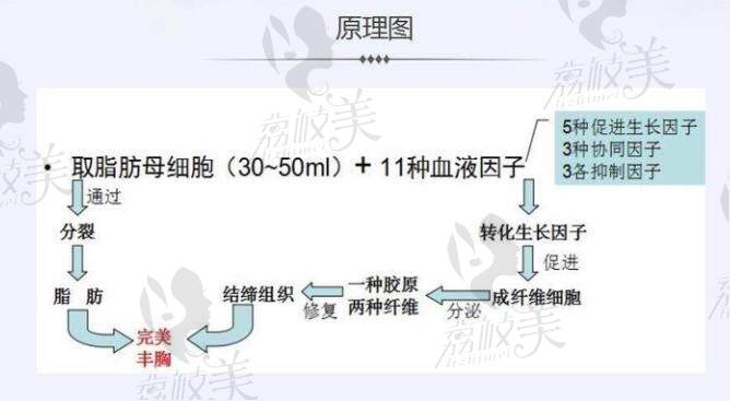 白晋博士CRT自体胶原蛋白再生技术原理