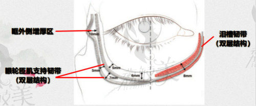 泪沟怎么才能消除?北京领医高泽博和院长眶隔释放术