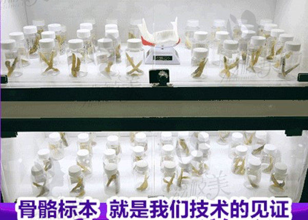 广州广大骨骼标本展示