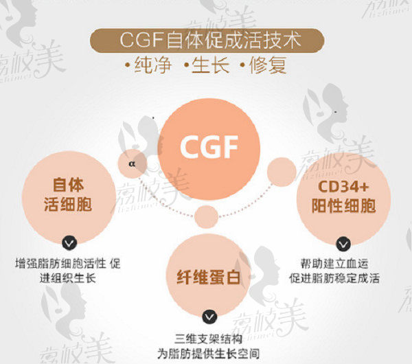 CGF自体促成活技术