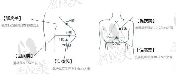 假體隆胸胸部美學(xué)標(biāo)準(zhǔn)