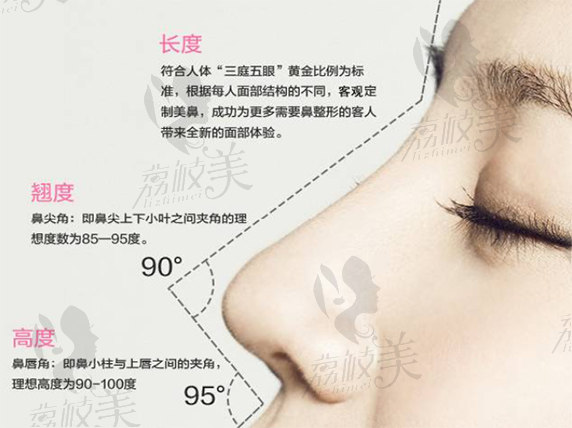 美鼻.jpg?x-oss-process=style/lzmei