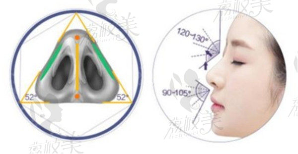 鼻頭的穩(wěn)定性處理設(shè)計理念