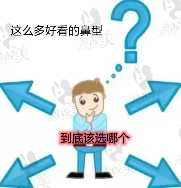 好看的鼻子该选哪个