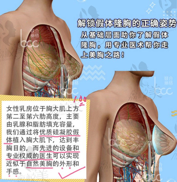 郭振宇醫(yī)生布丁美胸診療優(yōu)勢(shì) 郭振宇醫(yī)生布丁美胸診療優(yōu)勢(shì)