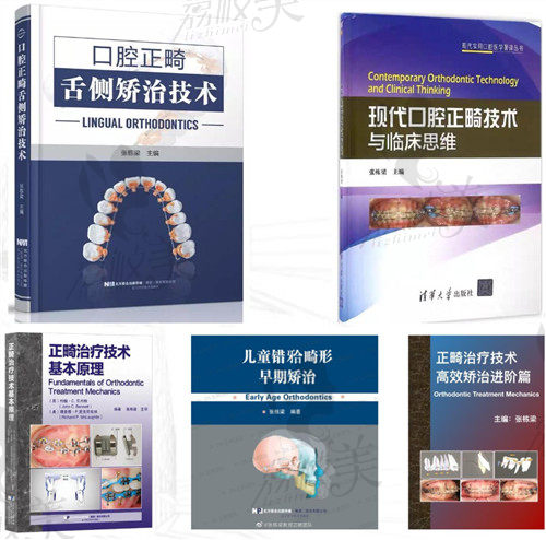 北京禾禾齿科张栋梁医生发表的书籍