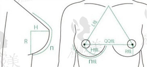 重慶美萊胸部整形五大黃金標(biāo)準(zhǔn)