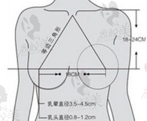 上海九院徐华隆胸审美