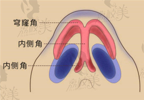 宁波艺星卢燕明隆鼻支架搭建