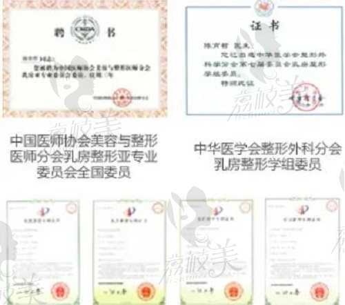 陈育哲医生荣誉