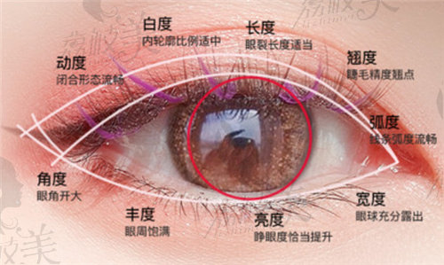 杭州藝星楊連華醫(yī)生做雙眼皮厲害