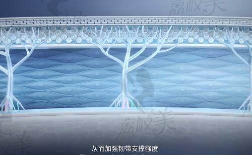 愛(ài)緹恩mADM功效