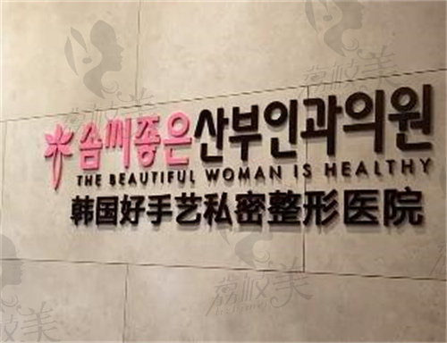 韩国好手艺私密整形医院标志