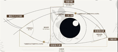 冯勇医生双眼皮整形修复技术强