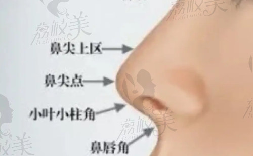 王志医生做肋软骨鼻综合技术好