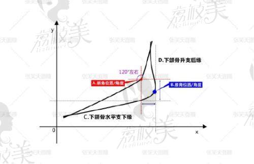 张笑天下颌角留角设计理念