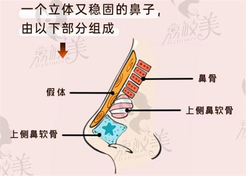 黄名斗做鼻子怎么样？