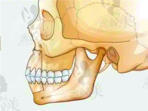  付國友正頜技術如何