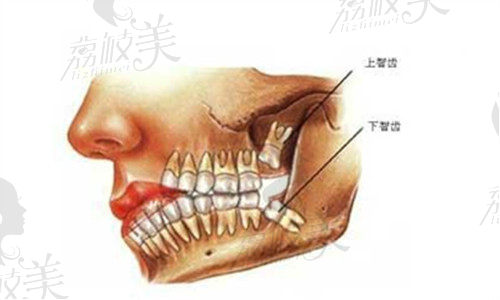 2022杭州濱江德貝口腔收費(fèi)標(biāo)準(zhǔn)3